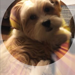 Meet your Posher, Caroline